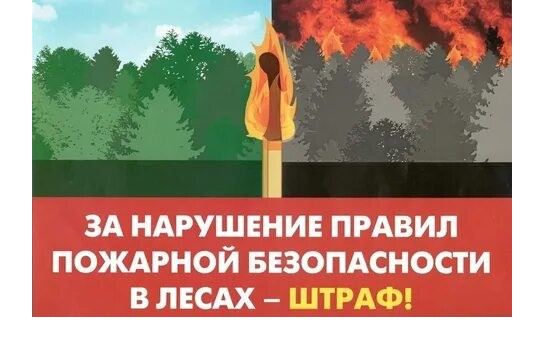 Ответственность за нарушения пожарной безопасности во время прохождения пожароопасного периода